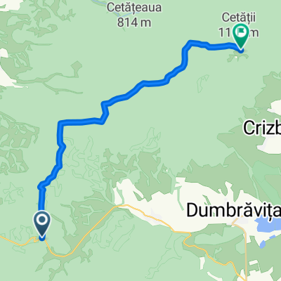 Persani