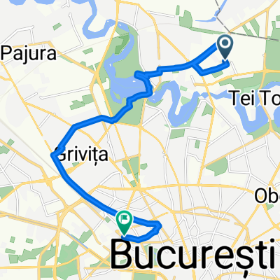 Ruta 11/03/15
