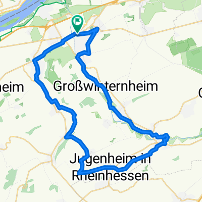 32_Ingelheim – Jugenheim – Schwabenheim – Ingelheim