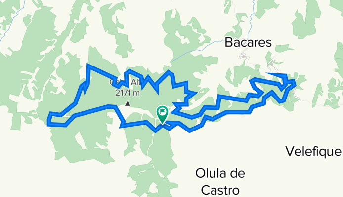 La Merendera - Tetica - Arroyo Berruga - Calar Alto - La Merendera