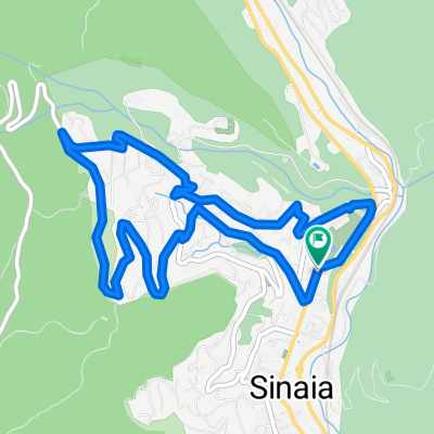 RGT Sinaia