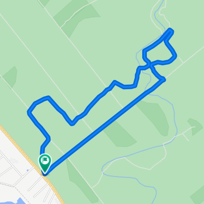 Rocket Bike Fest 4- Family Cernica