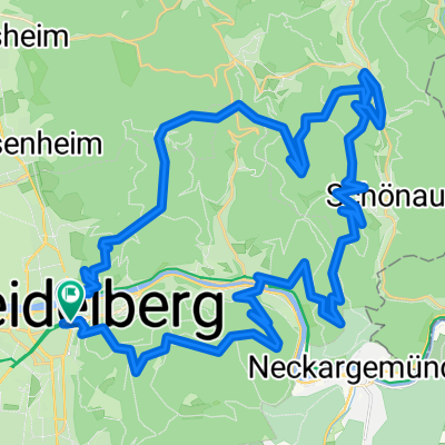 Spielzeugrunde