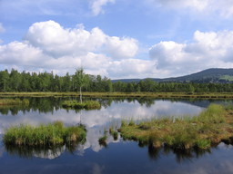Highlight 1 along the Bikemap route "Sumava Tour 2.den"