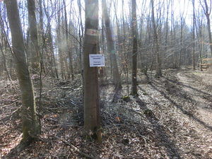 Highlight 5 along the Bikemap route "Blaustein,Sonderbuch ,Blaubeuern,Blaustein "