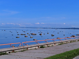 Highlight 2 along the Bikemap route "Tallinn-Narva"