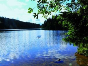 Highlight 2 along the Bikemap route "40_Aha – Bärental – Titisee"