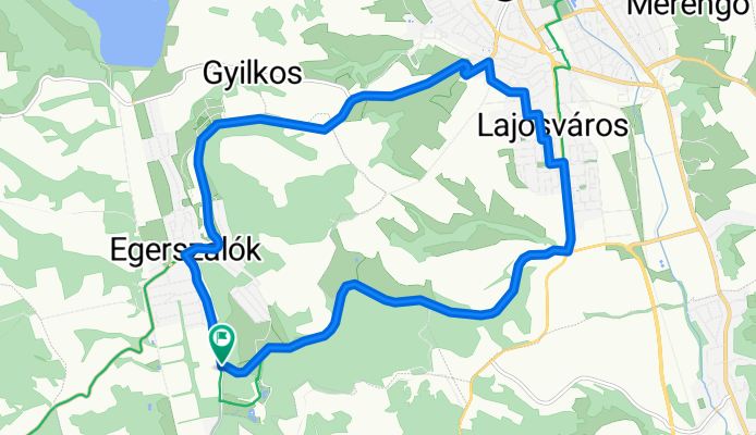 Bozsik Cucu kör