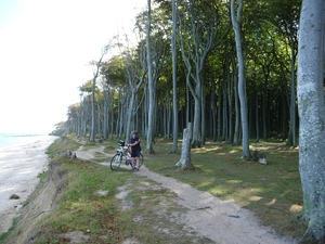 Hebe Bild 7 entlang der Bikemap-Route "Kühlungsborn-Warnemünde-Kühlungsborn" hervor