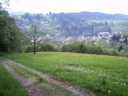 Hebe Bild 1 entlang der Bikemap-Route "Große MTB- Runde" hervor
