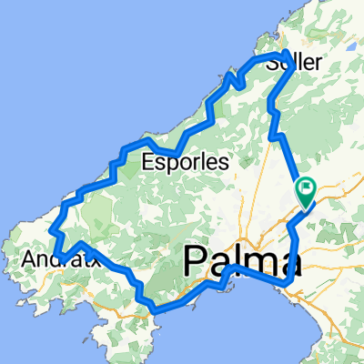 Marratxí, Sóller, Andratx, Calviá, Palma, Marratxí