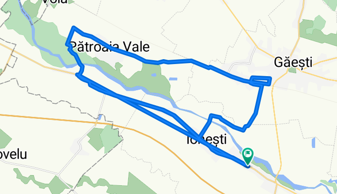 Patroaia