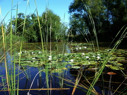 Highlight 8 along the Bikemap route "Okruh přes Krakovany,Kladruby a Písek" Highlight 8 along the Bikemap route "Okruh přes Krakovany,Kladruby a Písek"