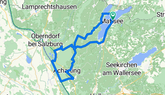 Mattsee-Kaiserbuche*2-Antheringer Au