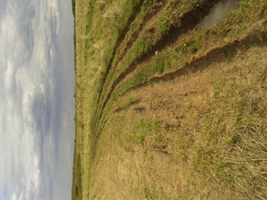 Hebe Bild 6 entlang der Bikemap-Route "Recording from 15:34, April 21" hervor Hebe Bild 6 entlang der Bikemap-Route "Recording from 15:34, April 21" hervor