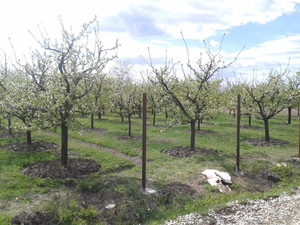 Hebe Bild 1 entlang der Bikemap-Route "Recording from 15:34, April 21" hervor Hebe Bild 1 entlang der Bikemap-Route "Recording from 15:34, April 21" hervor