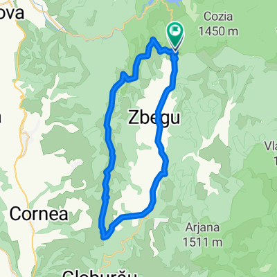 Culmea Canicei
