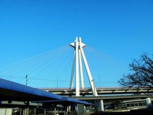 Point fort 1 sur l’itinéraire Bikemap « 43_Ludwigshafen – Friedelsheim – Bad Dürkheim »