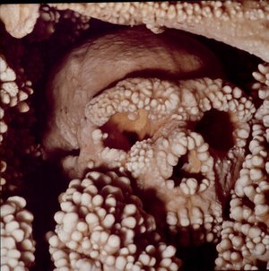 Highlight 32 along the Bikemap route "Po Apuliji"