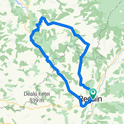 Reghin - Domnesti - Reghin