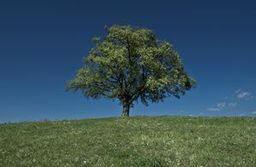 Highlight 2 along the Bikemap route "Crveno - siva   "