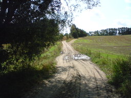 Highlight 8 along the Bikemap route "Kalisz-Tursko-Kalisz"