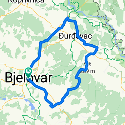 Bjelovar - Molve - Bjelovar
