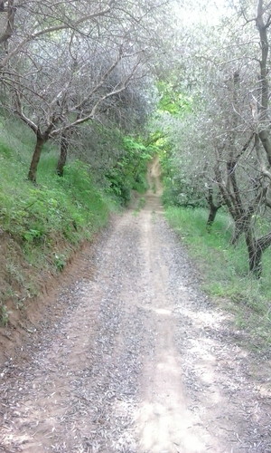 Highlight 6 along the Bikemap route " rua roccolo castello"
