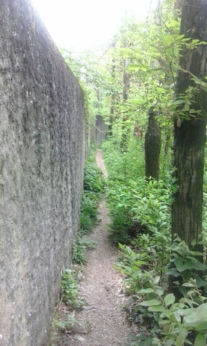 Highlight 3 along the Bikemap route " rua roccolo castello"