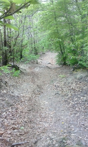 Highlight 4 along the Bikemap route " rua roccolo castello"