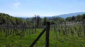 Hebe Bild 8 entlang der Bikemap-Route "Maribor with Piramida and town center" hervor Hebe Bild 8 entlang der Bikemap-Route "Maribor with Piramida and town center" hervor