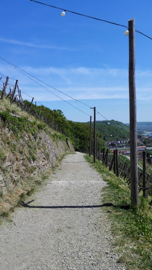 Hebe Bild 28 entlang der Bikemap-Route "Maribor with Piramida and town center" hervor Hebe Bild 28 entlang der Bikemap-Route "Maribor with Piramida and town center" hervor