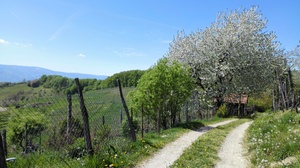 Hebe Bild 1 entlang der Bikemap-Route "Maribor with Piramida and town center" hervor Hebe Bild 1 entlang der Bikemap-Route "Maribor with Piramida and town center" hervor