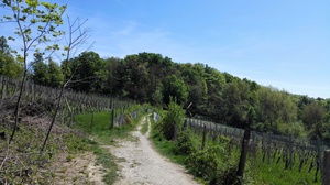 Hebe Bild 7 entlang der Bikemap-Route "Maribor with Piramida and town center" hervor Hebe Bild 7 entlang der Bikemap-Route "Maribor with Piramida and town center" hervor