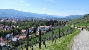 Hebe Bild 30 entlang der Bikemap-Route "Maribor with Piramida and town center" hervor Hebe Bild 30 entlang der Bikemap-Route "Maribor with Piramida and town center" hervor