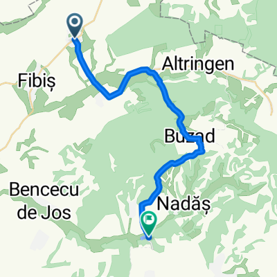 Masloc - Sarlota - Buzad - Salciua Noua - Herneacova
