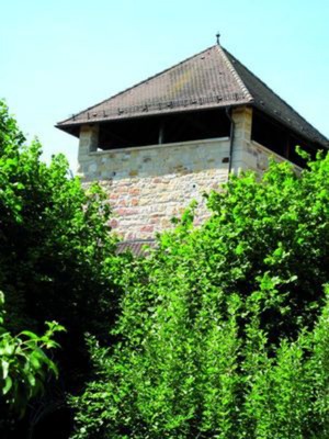 Highlight 2 along the Bikemap route "43_Ludwigshafen – Friedelsheim – Bad Dürkheim"