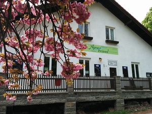 Point fort 8 sur l’itinéraire Bikemap « MTB im wienerwald »
