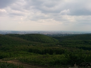 Point fort 6 sur l’itinéraire Bikemap « MTB im wienerwald »