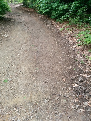 Point fort 3 sur l’itinéraire Bikemap « MTB im wienerwald »