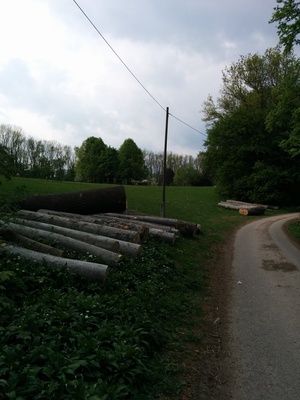 Point fort 7 sur l’itinéraire Bikemap « MTB im wienerwald »