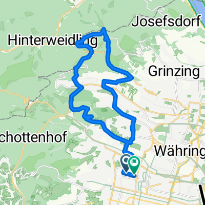 MTB im wienerwald