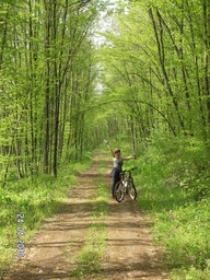 Hebe Bild 9 entlang der Bikemap-Route " in muntii Macinului " hervor Hebe Bild 9 entlang der Bikemap-Route " in muntii Macinului " hervor