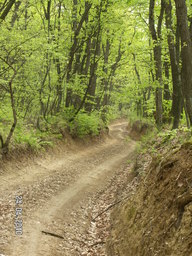 Hebe Bild 5 entlang der Bikemap-Route " in muntii Macinului " hervor Hebe Bild 5 entlang der Bikemap-Route " in muntii Macinului " hervor