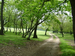 Hebe Bild 2 entlang der Bikemap-Route " in muntii Macinului " hervor Hebe Bild 2 entlang der Bikemap-Route " in muntii Macinului " hervor