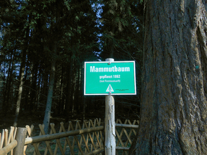 Hebe Bild 1 entlang der Bikemap-Route "E-Bike Harz: Bodetal Köhlertour Allrode-Altenbrak-Treseburg" hervor