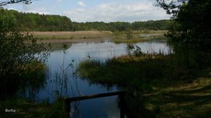 Hebe Bild 6 entlang der Bikemap-Route "Wycieczka do Chechła" hervor