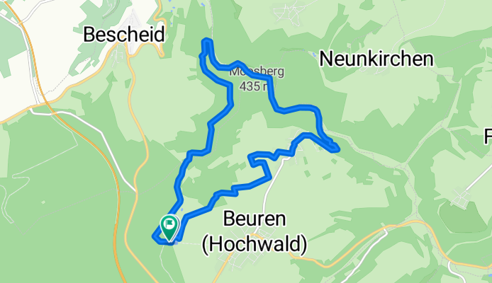 Rockenburger Urwaldpfad