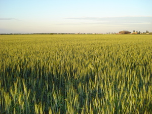 Highlight 10 along the Bikemap route "Crangasi-Ciocanesti" Highlight 10 along the Bikemap route "Crangasi-Ciocanesti"