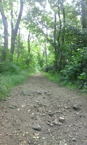 Highlight 5 along the Bikemap route "le discese + belle"